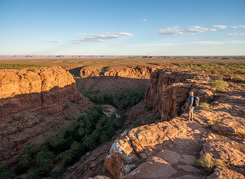Kings Canyon Rim Walk